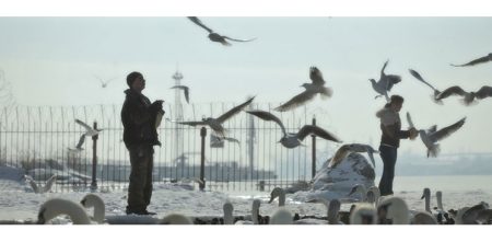 Dokumentarci RESTART labela u kino distribuciji