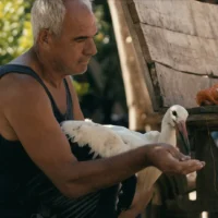 Myth, legend and reality – “The Tale of Silyan” in cinemas from late January Myth, legend and reality – “The Tale of Silyan” in cinemas from late January